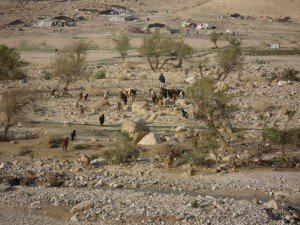 6-SDC10303 - Bedouin Camp